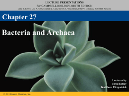 27_Lecture_Presentation_PCx