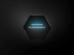 Puradigm Overview.ppsx