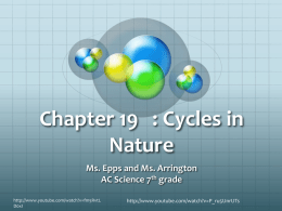 Chapter 19 : Cycles in Nature