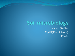 Soil microbiology