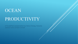 Ocean productivity - LemoineHPCScience