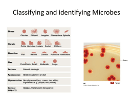 Classifying Microbes