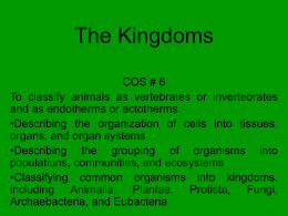 The Five Kingdoms