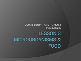 Microorganisms In Making Food