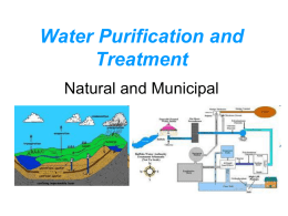 Water Purification and Treatment