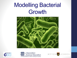 Modelling microbial growth