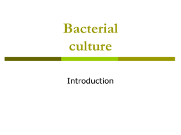 What are bacteria?