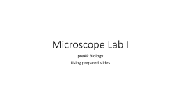 Microscope Lab I - Moore Public Schools