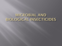 MICROBIAL AND BIOLOGICAL INSECTICIDES