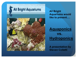 All Bright Aquariums would like to present….