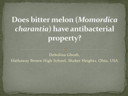 Does bitter melon (Momordica charantia) have antibacterial property?