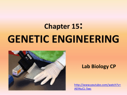 Chapter 15: GENETIC ENGINEERING