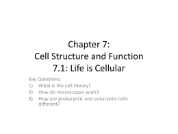 Chapter 7: Cell Structure and Function 7.1: Life is Cellular