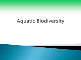 Aquatic Ecosystems Powerpoint
