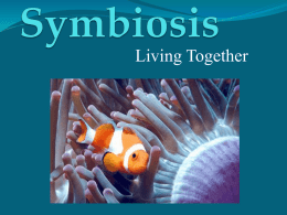 Symbiosis - IISME Community Site