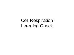 practice questions for cell respiration