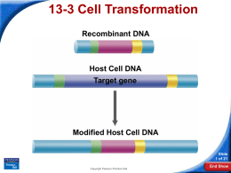 13-3 Cell Transformation