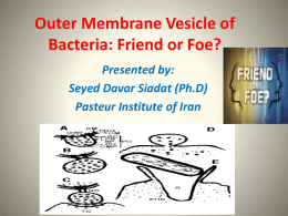 Outer Membrane Vesicle of Bacteria: Friend or Foe?