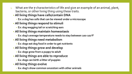 All living things have cells/contain DNA Ex: a dog has cells that can
