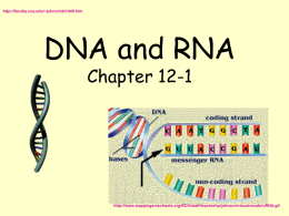 DNA and RNA Chapter 12 - Brookings School District