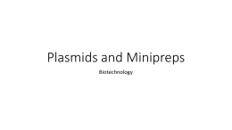 Plasmids and Minipreps