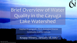 Brief Overview of Water Quality in the Cayuga Lake Watershed