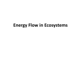 Energy Flow and Nutrient Cycles