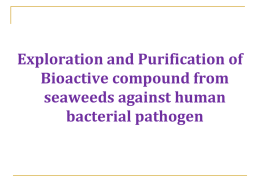 Exploration and Purification of Bioactive compound from seaweeds