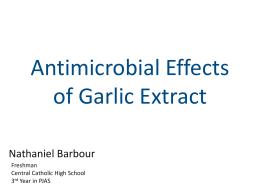 Antimicrobial Effects of Garlic Extract