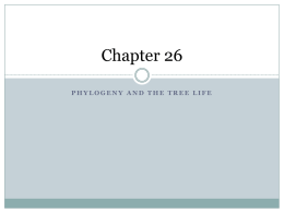Chapter 26 - HCC Learning Web