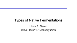 Types of Native Fermentations