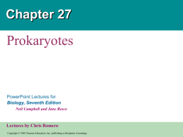 Prokaryotes - Biology Junction