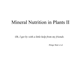 Mineral Nutrition in Plants II