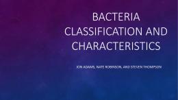 Bacteria Classification and Characteristics