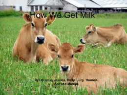 How to make Milk