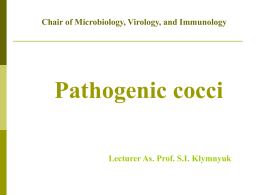 Pathogenic cocci