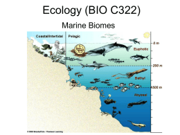 Ecology (BIO C322)