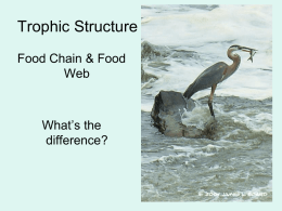 Trophic Structure Ch.41 2016