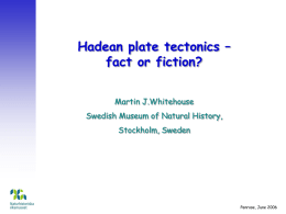 Hadean plate tectonics