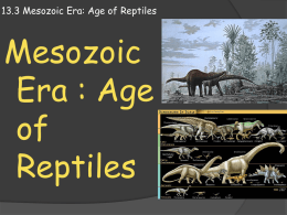 13.3 Mesozoic Era: Age of Reptiles