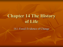 Ch 14 History of Life
