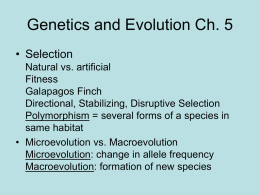 Genetics and Evolution Ch. 2