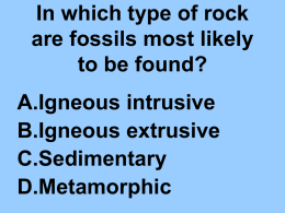 In which type of rock are fossils most likely to be found?