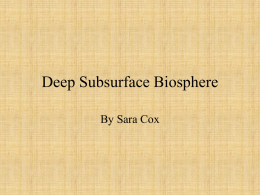 Deep Subsurface Biosphere