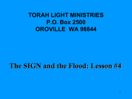 TORAH LIGHT MINISTRIES
