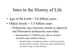 Intro to the History of Life