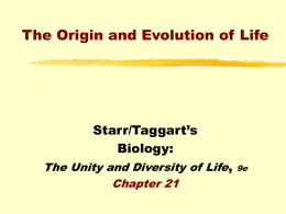 Starr/Taggart PowerPoint