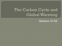 The Carbon Cycle and Global Warming