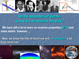 Geo-Neutrinos