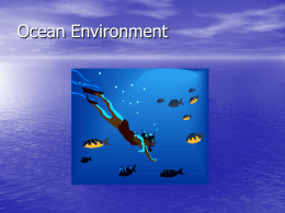 Ocean Environment Project